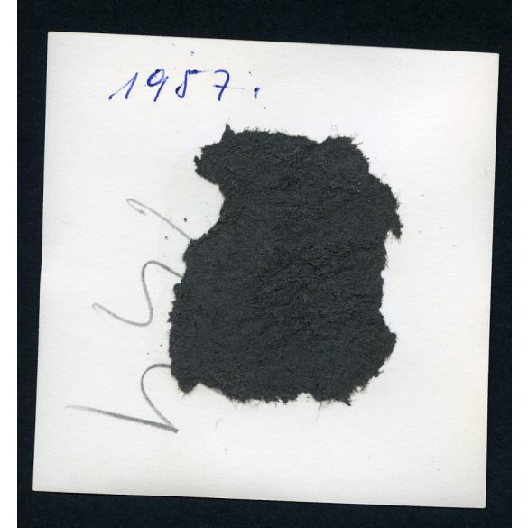 Ikarus 55 autóbusz, városi kivitel, busz, jármű, közlekedés, szocializmus, 1957, 1950-es évek, Eredeti fotó, papírkép.   