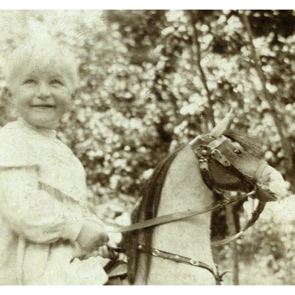 Brenndörfer János hintalovon, régi erdélyi, brassói család, gyerek, játék, monarchia, 1906, 1900-as évek, Eredeti kabinetfotó.