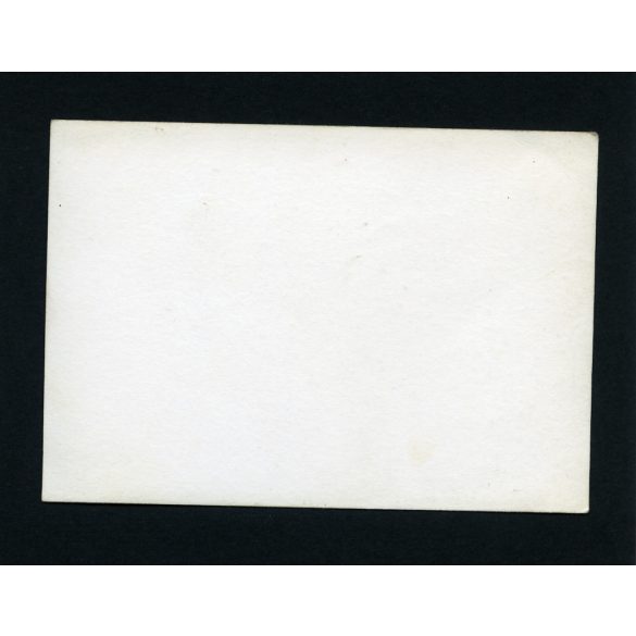 Elegáns nők állami rendszámú amerikai luxusautóval, Budapest, Pontiac, jármű, közlekedés, szocializmus, 1960-as évek, Eredeti fotó, papírkép.   