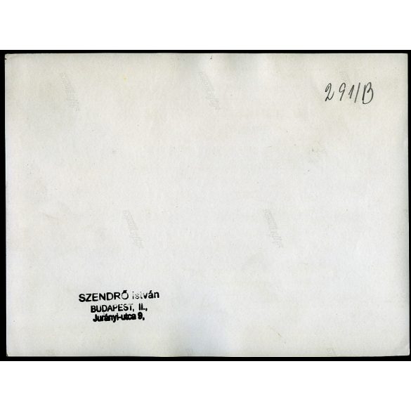 Nagyobb méret, Szendrő István fotóművészeti alkotása, Szent Jobb körmenet, Budapest, Budai vár, Mátyás templom, katona, egyenruha, koronaőrök, testőrök, folyamőrök (?), egyházi, világi és katonai vezetők, 1930-as évek.