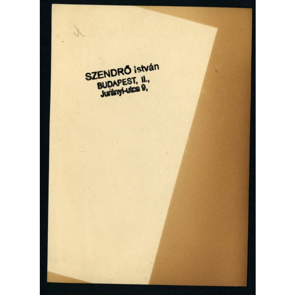 Nagyobb méret, Szendrő István fotóművészeti alkotása, a Szent Korona őrzője, Budapest, Budai Vár, egyenruha, puska, fegyver, 1930-as évek. Eredeti, pecséttel jelzett fotó, papírkép. Dekorációnak, ajándéknak is kiváló.
