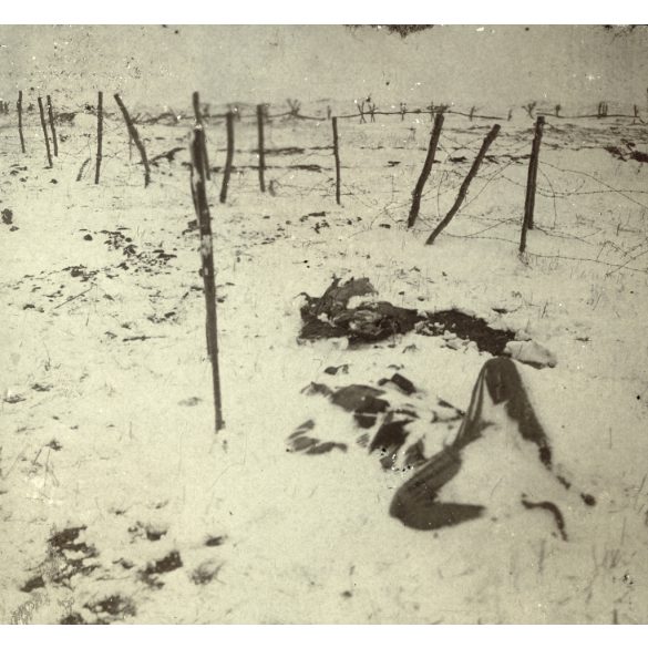 3 darab kartonra ragasztott fotó, földbe szúrt puskával jelzett meggémberedett hullák, temetés a téli frontvonalon, Oroszország, magyar katonák egyenruhában, 1. világháború, monarchia, 1910-es évek, Eredeti fotó, papírkép.  