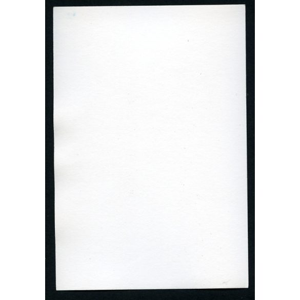 Mezőgazdasági kiállítás, Budapest, szocializmus, 1950-es évek, Eredeti fotó, papírkép.   