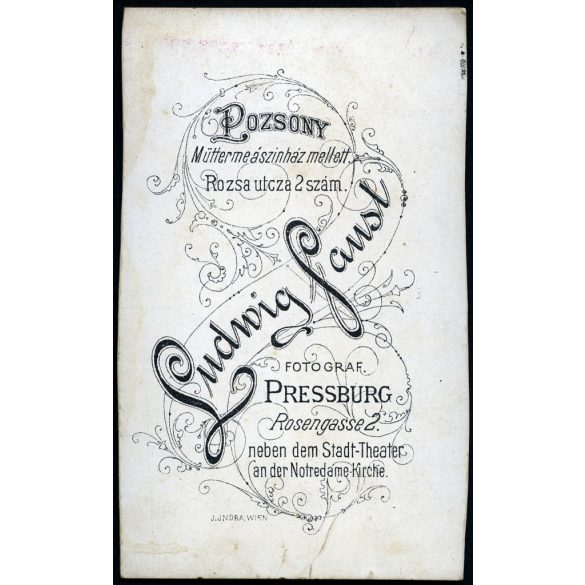 Ludwig Faust műterme, Pozsony, Felvidék,  elegáns fiú portréja, monarchia, 1870-es évek, Eredeti CDV, vizitkártya fotó, oldala vágott.   