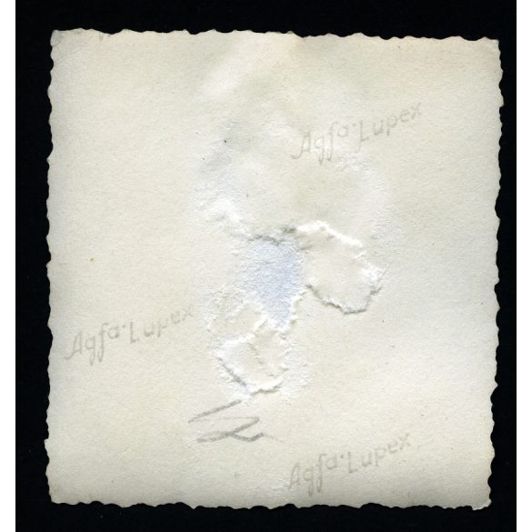 Kisfiú a Magyarság újság egy számával, szemüveg, matrózblúz, különös szemüveg, Horthy-korszak,1930-as évek, Eredeti fotó, hátulján sérült papírkép.  