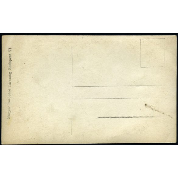 Révész és Bíró felvétele, „Őfelsége IV. Károly király eskütétele”, Budapest, Mátyás templom, Tisza István, monarchia, 1916, 1910-es évek, Eredeti fotó, papírkép, hátulján Magyar Rotophot Társaság felirattal. 