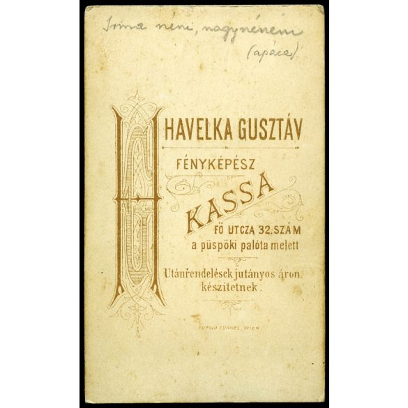 Havelka Gusztáv műterme, Kassa, Felvidék, elegáns fiatal nő gyönyörű hajjal, monarchia, 1870-es évek, Eredeti CDV, hátulján feliratozott vizitkártya fotó.   