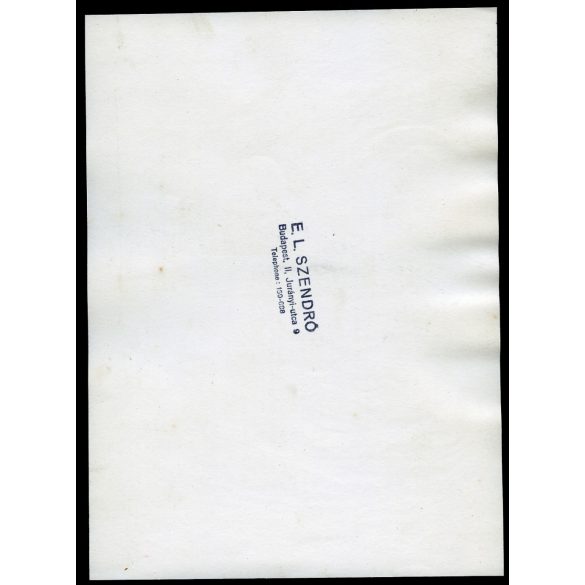 Nagyobb méret, Szendrő István fotóművészeti alkotása, kéményseprő nő létrával, Budapest, foglalkozás, zsáner, egyenruha, művészet, 1930-as évek. Eredeti, pecséttel jelzett fotó, papírkép. Dekorációnak, ajándéknak is kiváló.