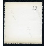 Sportoló német lányok Bund Deutscher Mädel (BDM) horogkeresztes náci pólóban. Németország, fényképezőgép, copf, sport, 2. világháború, 1940-es évek, Eredeti fotó, papírkép. 