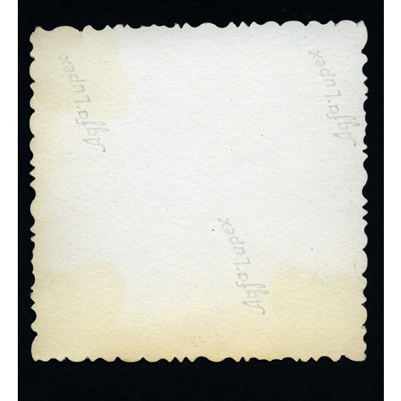 Elegáns társaság a porcelángyár előtt, Herend, ipartörténet, Horthy-korszak, Veszprém megye, helytörténet, 1930-as évek, Eredeti fotó, papírkép.   