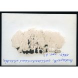 Ságvári Endre (Trefort Ágoston) iskola, Budapest, politechnikai oktatás a gyakorló műhelyben, szocializmus, 1960, 1960-as évek, Eredeti fotó, papírkép.   