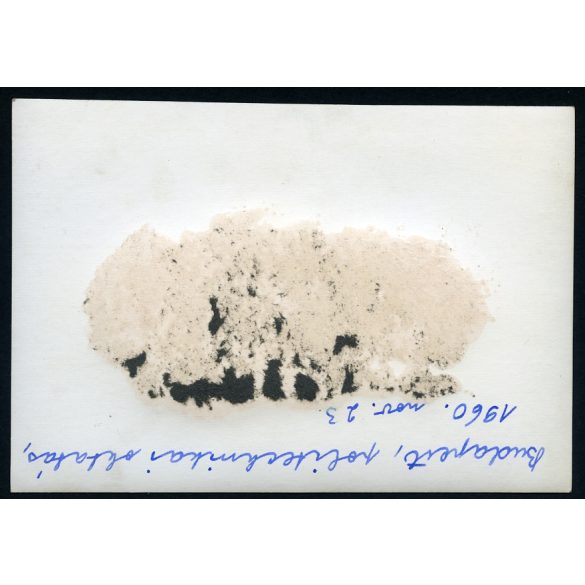 Ságvári Endre (Trefort Ágoston) iskola, Budapest, politechnikai oktatás a gyakorló műhelyben, szocializmus, 1960, 1960-as évek, Eredeti fotó, papírkép.   