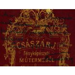 Császár műterem, Kolozsvár, Erdély,  elegáns szakállas úr portréja, Nuricsán Károly (?), monarchia, 1885, 1880-as évek, Eredeti CDV, hátulján Tordán feliratozott és szignózott vizitkártya fotó.  