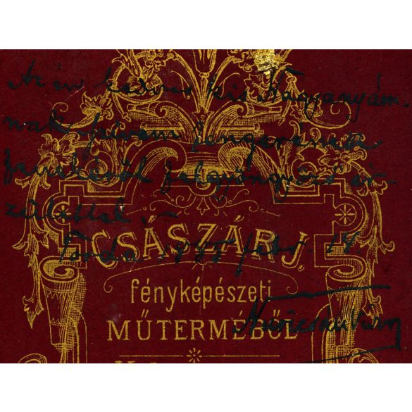 Császár műterem, Kolozsvár, Erdély,  elegáns szakállas úr portréja, Nuricsán Károly (?), monarchia, 1885, 1880-as évek, Eredeti CDV, hátulján Tordán feliratozott és szignózott vizitkártya fotó.  