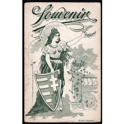   Ismeretlen műterem, Magyarország, elegáns nő különös ruhában, monarchia, 1900-as évek, Eredeti CDV, vizitkártya fotó, gyönyörű, ritka hátlappal.   