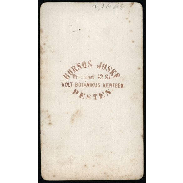 Borsos műterem, Pest, elegáns nő gyönyörű ruhában, monarchia, 1860-as évek, Eredeti CDV, vizitkártya fotó. 