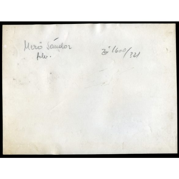 Nagyobb méret, Mező Sándor fotóművész, a Szabadság híd a Gellért fürdőből fotózva, villamos, Duna, jármű, közlekedés, kommunizmus, 1950-es évek, Eredeti fotó, hátulján feliratozott papírkép.  