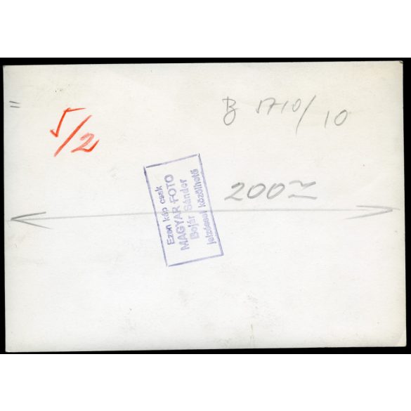 Nagyobb méret, Mező Sándor fotóművész, V. Világ Ifjúsági Találkozó, Biharkeresztes, VIT nemzetközi váltófutás Szófia-Varsó,  kommunizmus, 1955. július 10, 1950-es évek, Eredeti fotó, hátulján pecséttel jelzett papírkép. 