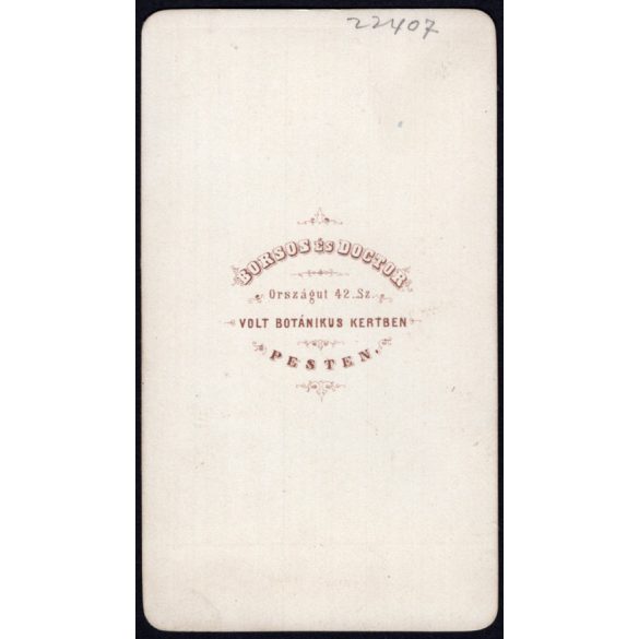 Borsos és Doctor műterem, Pest, elegáns nő gyönyörű szemekkel, fülbevaló, ékszer, 1860-as évek, Eredeti korai CDV, vizitkártya fotó.  