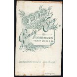 Gondy és Egey műterem, Debrecen, elegáns hölgy gyönyörű szemekkel, nyaklánc, ékszer, 1880-as évek, Eredeti CDV, vizitkártya fotó, szélei vágottak.  