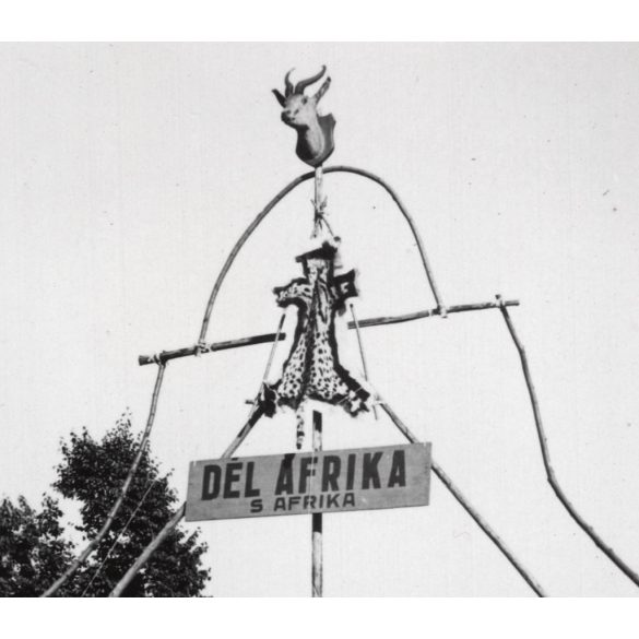 Cserkész Világtalálkozó, Gödöllő, Jamboree, Dzsembori, Dél Afrika kapu, Horthy-korszak, 1933. VIII. 7, 1930-as évek, Eredeti fotó, hátulján feliratozott papírkép.  