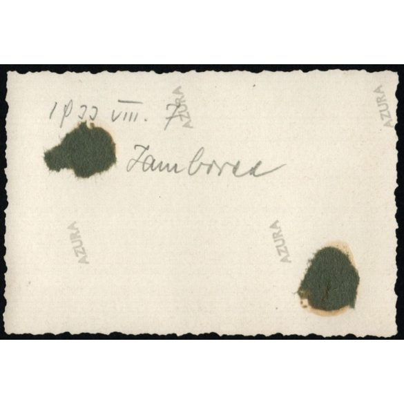 Cserkész Világtalálkozó, Gödöllő, Jamboree, Dzsembori, Dél Afrika kapu, Horthy-korszak, 1933. VIII. 7, 1930-as évek, Eredeti fotó, hátulján feliratozott papírkép.  