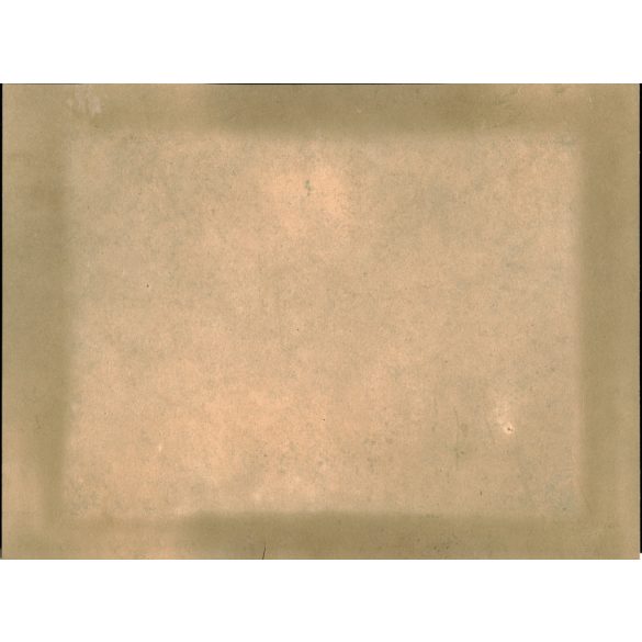 Nagy méret, Húsipari Munkások Szervezete, zászló, foglalkozás, ipartörténet,  kalap, bajusz, monarchia, 1890-es évek, Eredeti kabinetfotó, kartonra kasírozott fotó.  