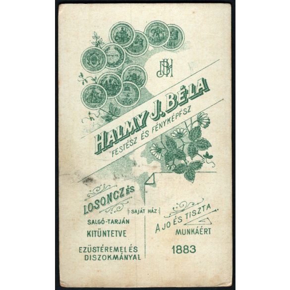 Halmy József Béla festész és fényképész műterme, Losonc (Salgótarján), Felvidék, elegáns fiatal férfi portréja, szemüveg, monarchia, 1880-as évek, Eredeti CDV, vizitkártya fotó.   