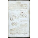 Csillagi Lajos műterme, Újpest,  elegáns fiatal nő portréja, 1900-as évek, Eredeti CDV, vizitkártya fotó, hátulján a műterem elmosódott rajza.   