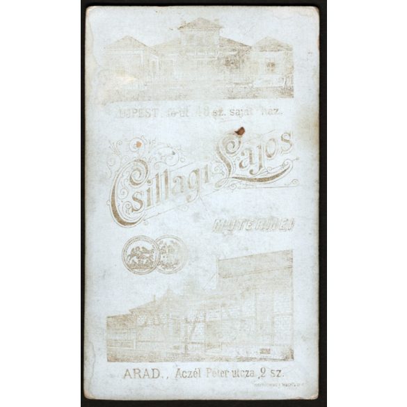 Csillagi Lajos műterme, Újpest,  elegáns fiatal nő portréja, 1900-as évek, Eredeti CDV, vizitkártya fotó, hátulján a műterem elmosódott rajza.   