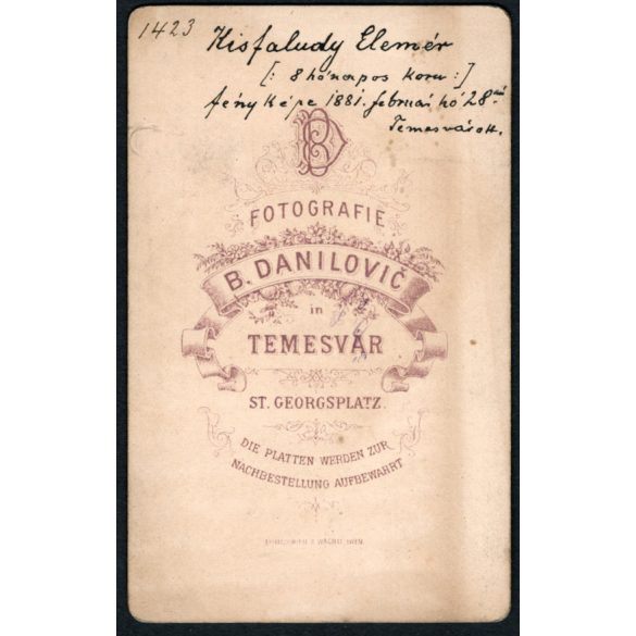B. Danilovic műterme, Temesvár, Erdély,  Kisfaludy Elemér 8 hónapos korában, gyerek, hintaszék, monarchia, 1881, 1880-as évek, Eredeti CDV, hátoldalán feliratozott vizitkártya fotó. 