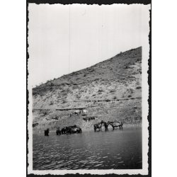   Lovak a Czegei-tónál, Erdély,  Wass birtok,   helytörténet, Horthy-korszak, 1939, 1930-es évek, Eredeti fotó, hátulján feliratozott papírkép.   