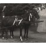 Tézsla János fényképész, Makó, lakodalmas kocsi, esküvő, menyasszony, vőlegény, jármű, közlekedés, helytörténet, Horthy-korszak, 1938, 1930-as évek, Eredeti fotó, hátulján feliratozott, pecséttel jelzett papírkép. 