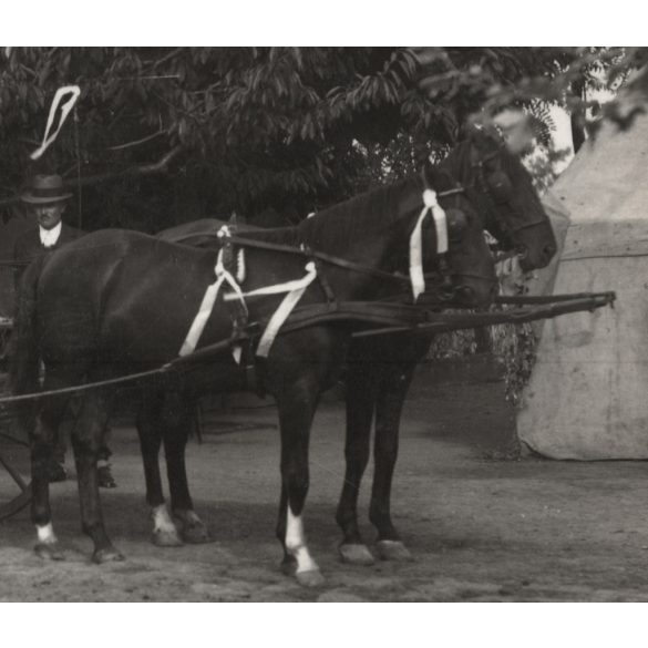 Tézsla János fényképész, Makó, lakodalmas kocsi, esküvő, menyasszony, vőlegény, jármű, közlekedés, helytörténet, Horthy-korszak, 1938, 1930-as évek, Eredeti fotó, hátulján feliratozott, pecséttel jelzett papírkép. 