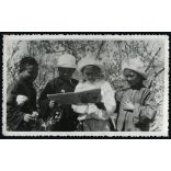 Kínai gyerekek magyar nyelvű jezsuita kiadványt nézegetnek, a Támingi Magyar Misszió Központja, egyház, vallás, különös, Horthy-korszak, 1930-as évek, Eredeti, bélyegzővel jelzett képeslap fotó, papírkép, felületén sérülések. 