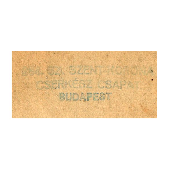 284-es számú Szent Korona Cserkészcsapat, Budapest, (Külső Váci úti római katolikus plébánia), tábor, egyenruha, zászló, trombita, XIII. kerület,  Horthy-korszak, 1929, 1920-as évek, Eredeti, bélyegzővel jelzett fotó, papírkép, felületén sérülések.  