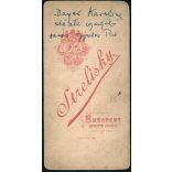 Strelisky műterem, Budapest, elegáns nő magyaros téli ruhában, a későbbi feliratozás szerint Bayer Karolina rékispalotai nevelőintézeti igazgató, monarchia, 1880-as évek, Eredeti, hátulján feliratozott kabinetfotó.  