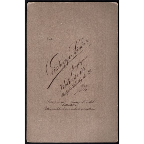 Csizhegyi műterem, Kolozsvár, Erdély, elegáns nő portréja, monarchia, 1900-as évek, Eredeti kabinetfotó.  