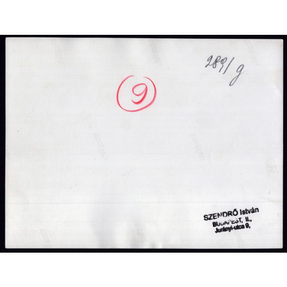 Nagyobb méret, Szendrő István fotóművészeti alkotása, Szent Jobb-körmenet a Budai Várban, egyházi méltóságok, egyenruha, alabárdosok, 1930-as évek. Eredeti, pecséttel jelzett fotó, papírkép, Agfa Brovira papíron. Dekorációnak, ajándéknak is kiváló. m