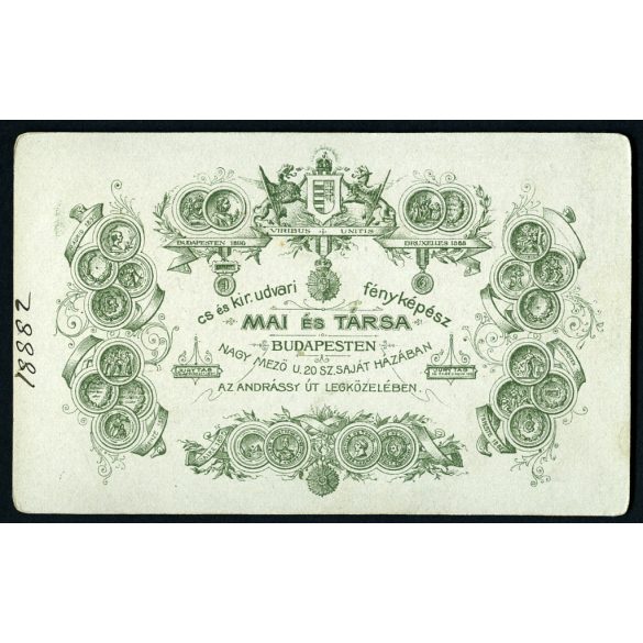 Mai Manó és Társa műterem, Budapest, elegáns nő gyönyörű ruhában, monarchia, 1890-es évek, Eredeti CDV, vizitkártya fotó.  