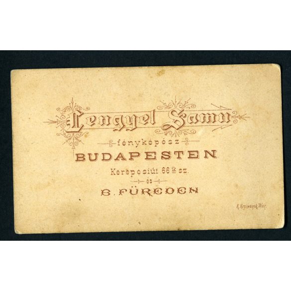 Ritka! Lengyel Samu műterme, Budapest, elegáns nő portréja, gyönyörű haj, fejdísz, monarchia, 1880-as évek, Eredeti CDV, vizitkártya fotó.   