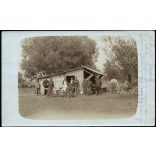Tábori posta, magyar katonák szerb parasztokkal, Pétervárad, tábori konyha, Szinte László, egyenruha, 1. világháború, egyenruha, monarchia, 1910-es évek, Eredeti fotó, lebélyegzett papírkép.  
