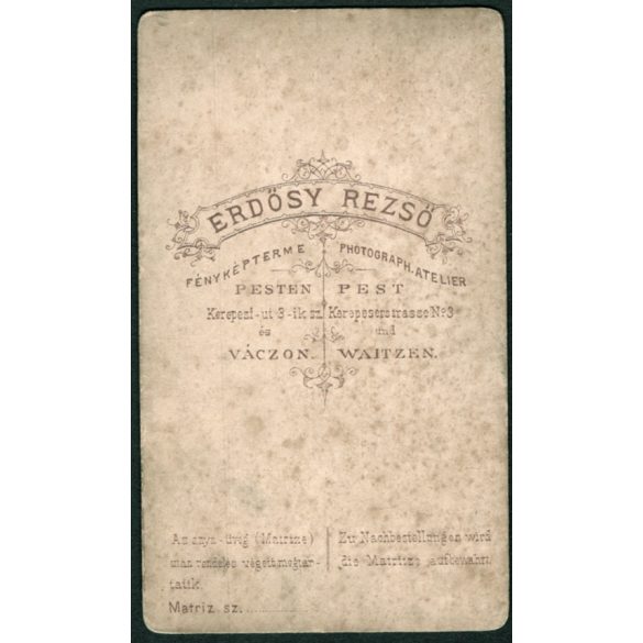 Erdősy műterem, Pest (Vác), elegáns hölgy portréja, gyönyörű frizura, monarchia, 1860-as évek, Eredeti CDV, vizitkártya fotó.   