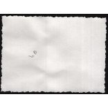 Rendezvény a Vérmezőn, Budapest, I. kerület, Attila út, Horthy-korszak, 1930-as évek, Eredeti fotó, papírkép.  