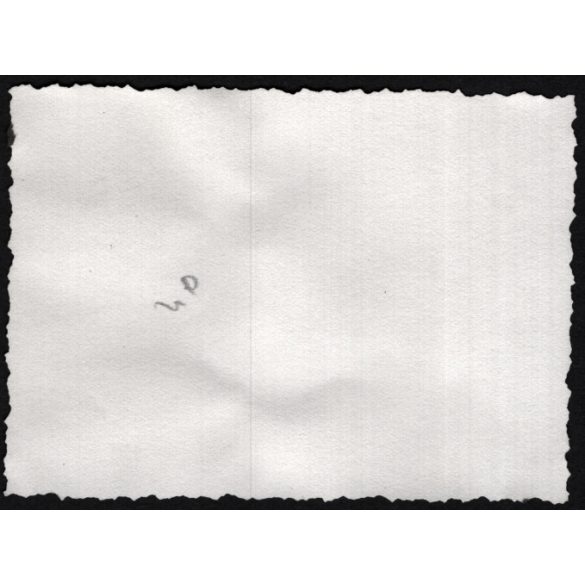 Rendezvény a Vérmezőn, Budapest, I. kerület, Attila út, Horthy-korszak, 1930-as évek, Eredeti fotó, papírkép.  