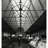 Közép-Európa első üvegtetős tehénistállója, Kisbér, méntelep, mezőgazdaság, állattenyésztés, Horthy-korszak, helytörténet, 1930-as évek, Eredeti fotó, papírkép.   