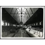 Közép-Európa első üvegtetős tehénistállója, Kisbér, méntelep, mezőgazdaság, állattenyésztés, Horthy-korszak, helytörténet, 1930-as évek, Eredeti fotó, papírkép.   