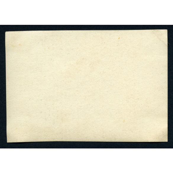 Közép-Európa első üvegtetős tehénistállója, Kisbér, méntelep, mezőgazdaság, állattenyésztés, Horthy-korszak, helytörténet, 1930-as évek, Eredeti fotó, papírkép.   