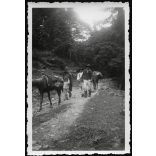 Román parasztok (kereskedők?), népviseletben, Borberek (Vurpar), Erdély,  Horthy-korszak, 1942, 1940-es évek, Eredeti fotó,  papírkép, hátulján feliratozva. 