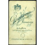 Perger Vince műterme, Baja, elegáns nő portréja, gyönyörű ruha, helytörténet, monarchia, 1890-es évek, Eredeti CDV, vizitkártya fotó.  